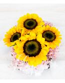 Pretty Sunflowers in a Square Box